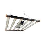 Hydrozone profile picture